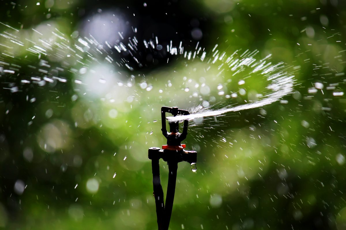 Sprinkler irrigation head spraying water across turf